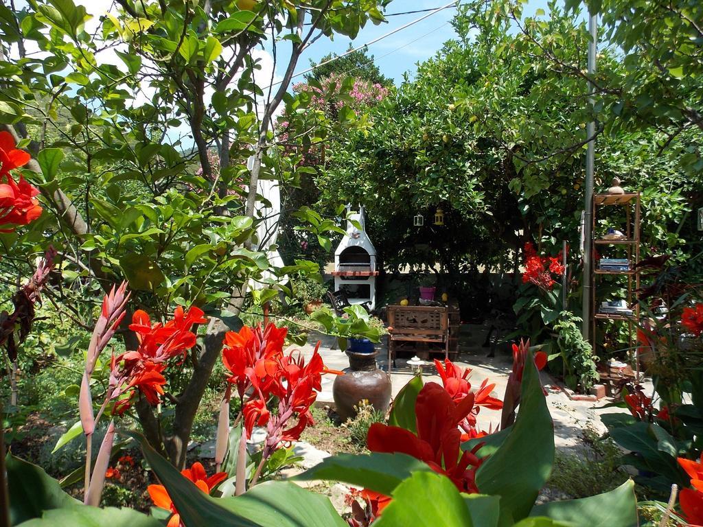 Отель Stamatia'S Garden Agnontas Экстерьер фото