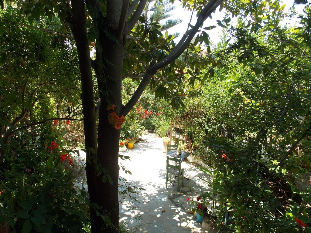 Отель Stamatia'S Garden Agnontas Экстерьер фото