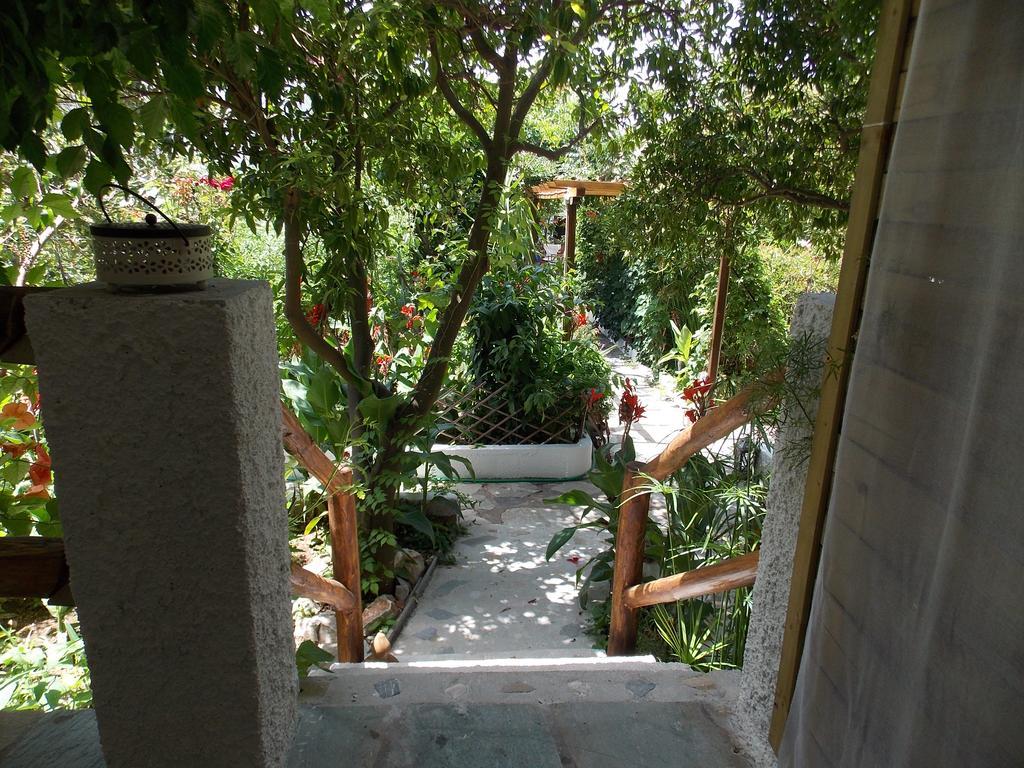 Отель Stamatia'S Garden Agnontas Экстерьер фото