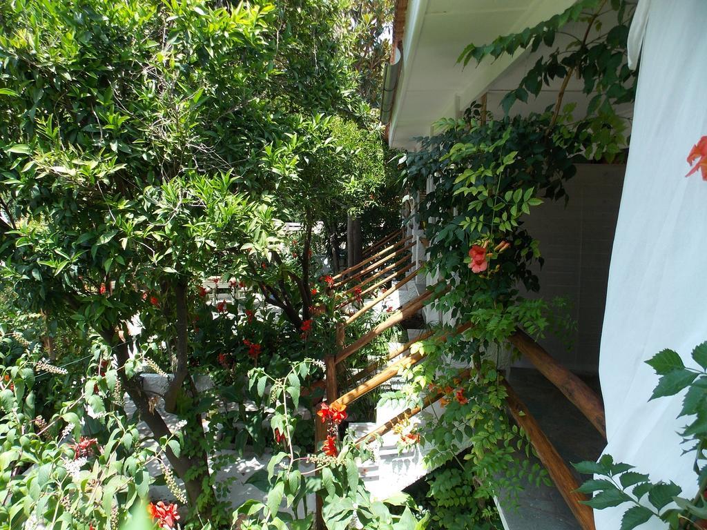 Отель Stamatia'S Garden Agnontas Экстерьер фото