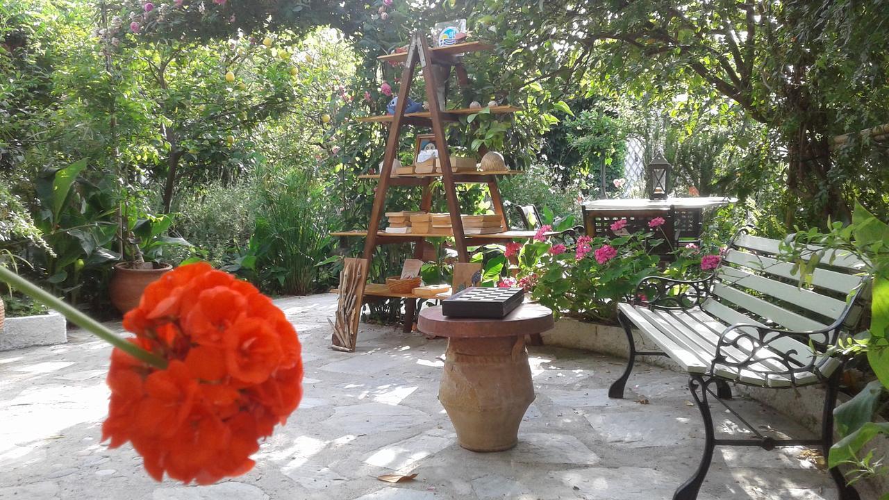 Отель Stamatia'S Garden Agnontas Экстерьер фото