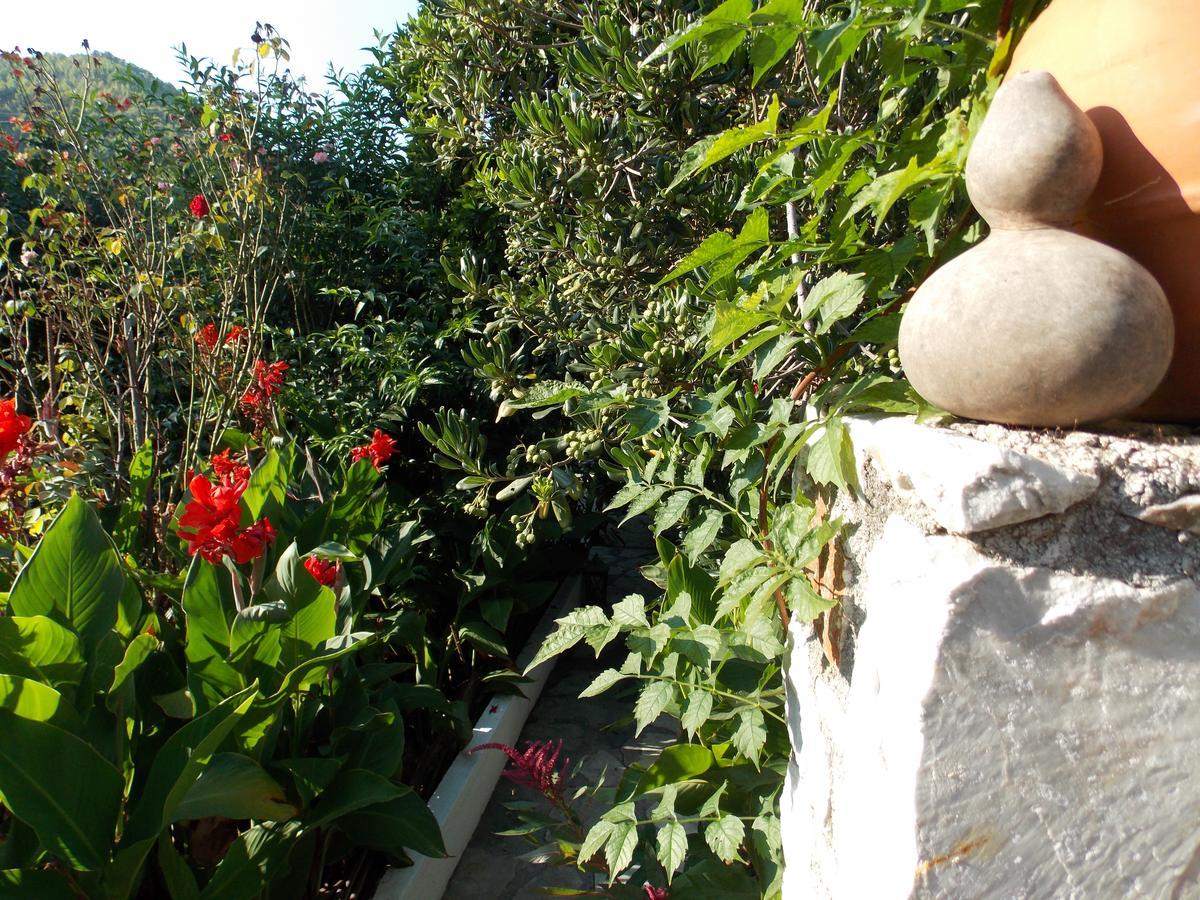 Отель Stamatia'S Garden Agnontas Экстерьер фото