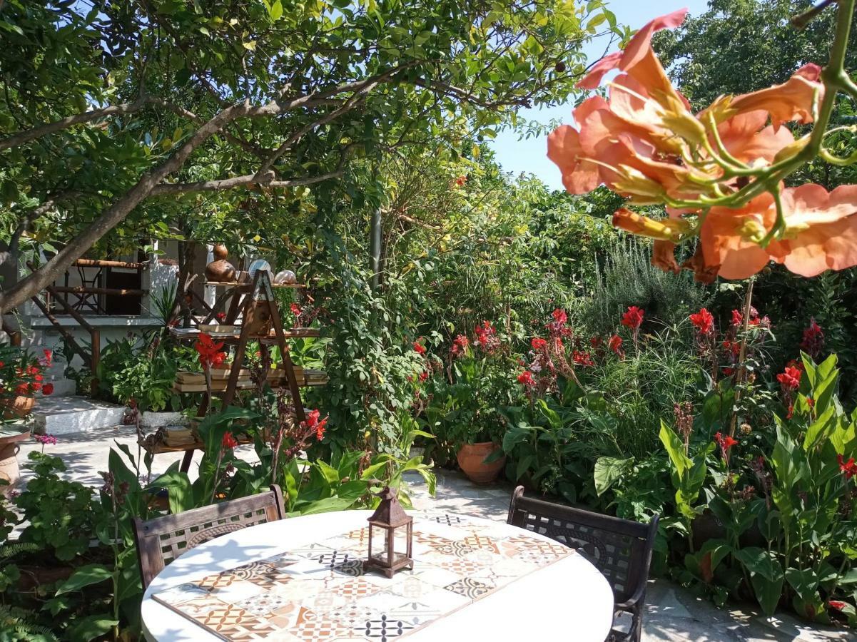 Отель Stamatia'S Garden Agnontas Экстерьер фото