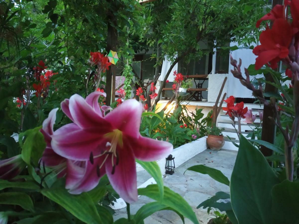 Отель Stamatia'S Garden Agnontas Экстерьер фото