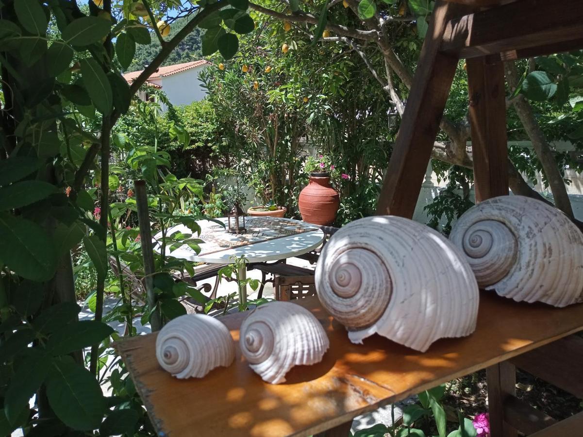 Отель Stamatia'S Garden Agnontas Экстерьер фото