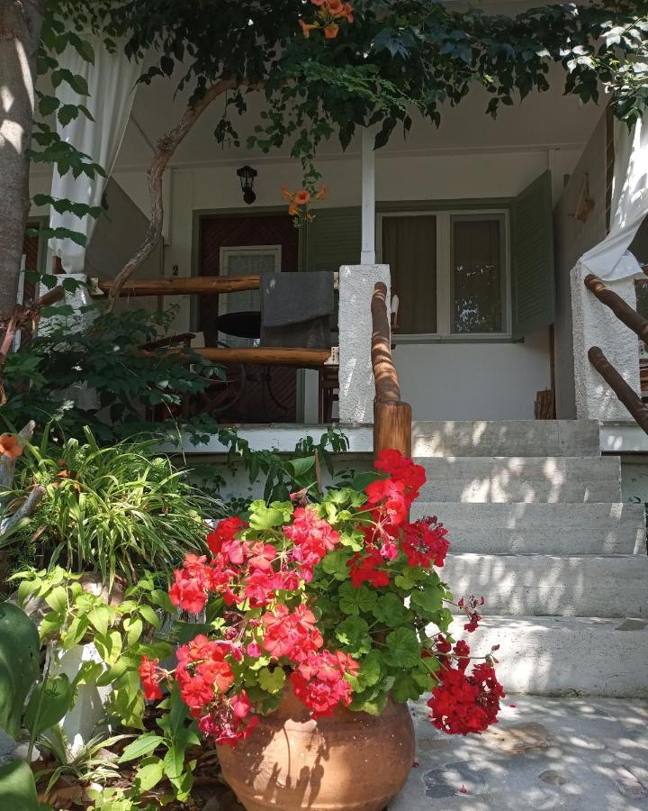 Отель Stamatia'S Garden Agnontas Экстерьер фото